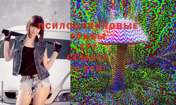 амфетамин Арсеньев
